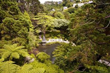 Wellington Botanik Bahçesi